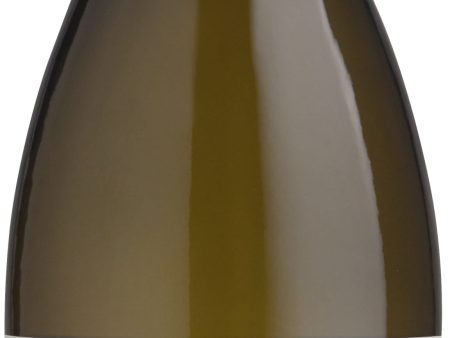 Annabella Chardonnay Sonoma Valley 2020 *NEW* 2020 Online Hot Sale