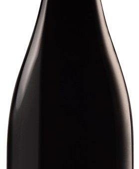 Ay Rouge [Pinot Noir], Henri Goutorbe 2012 For Cheap