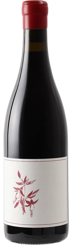 Arnot-Roberts Syrah California 2020 Fashion