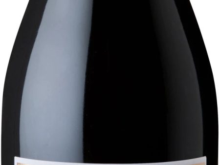 Amarone della Valpolicella Riserva  Scajari , Gini 2010 Discount