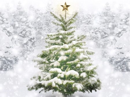 Various - Christmas Songs for Classical Players (w Audio Access) - Cello and Piano Sale